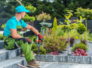 Manutenção de Jardins